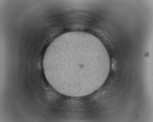 X0000097900819200804111042