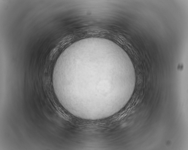 X0000097900820200804111042