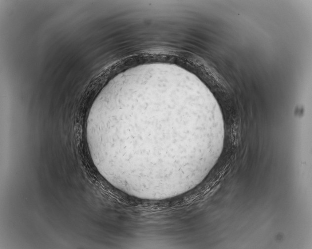 X0000097900821200804111042