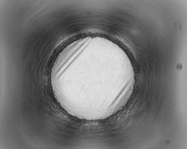 X0000097900823200804111042