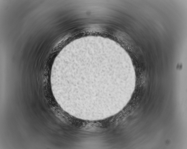 X0000097900824200804111042