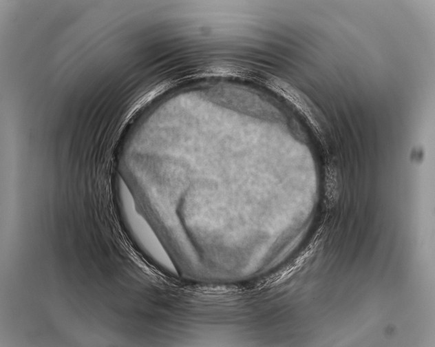 X0000097900826200804111042