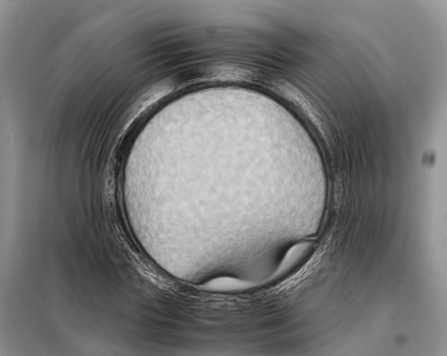 X0000097900827200804111042