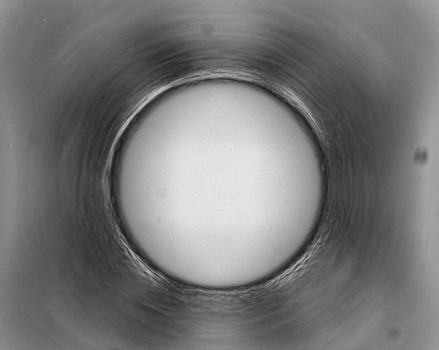 X0000097900828200804111042