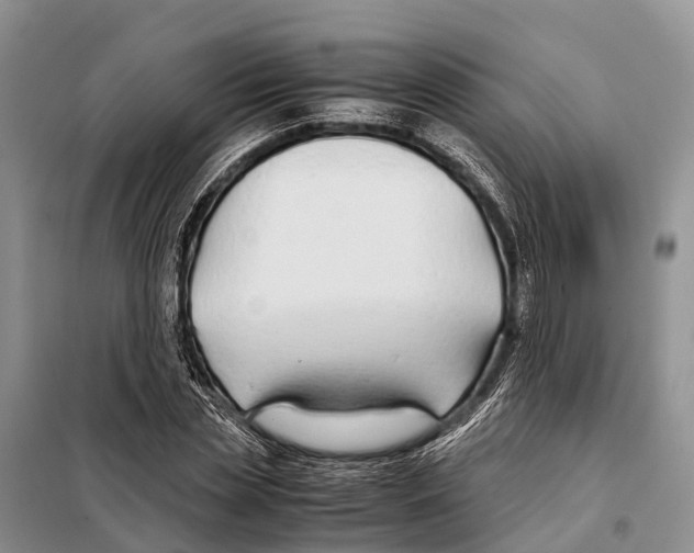 X0000097900829200804111042