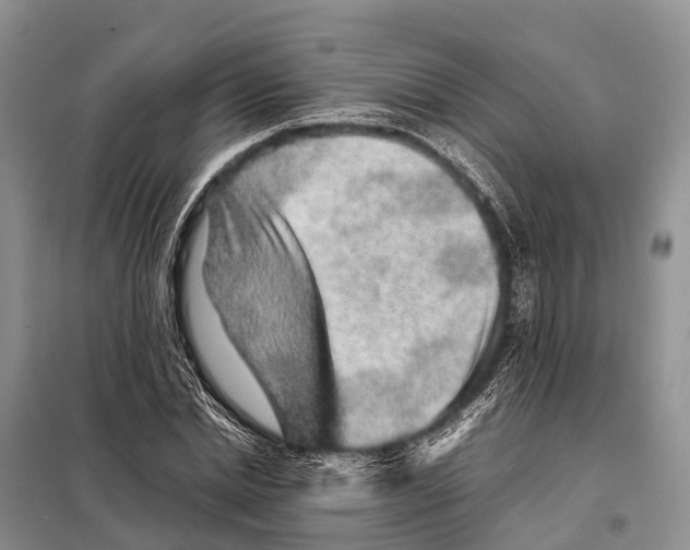 X0000097900830200804111042