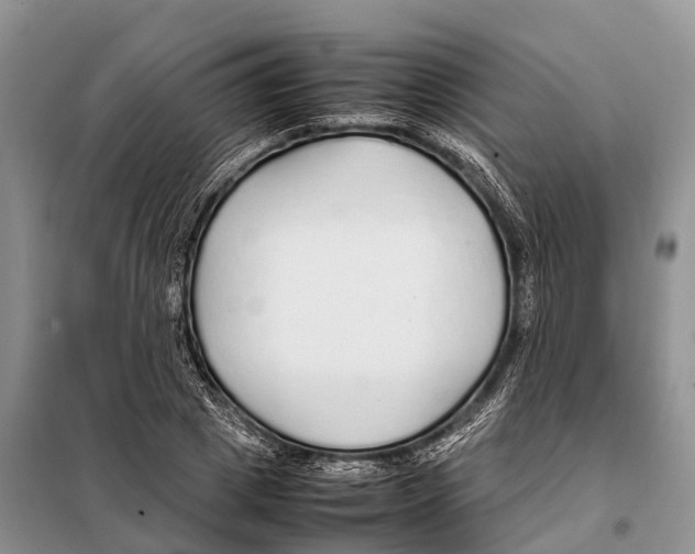 X0000097900833200804111042