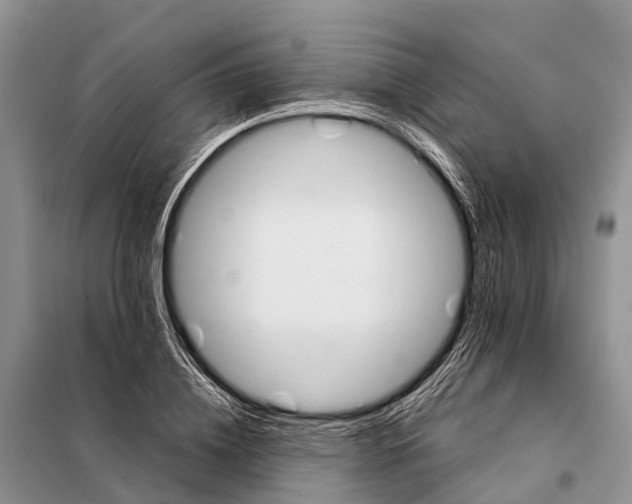 X0000097900836200804111042