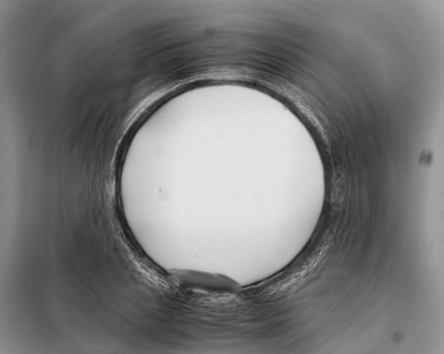 X0000097900837200804111042