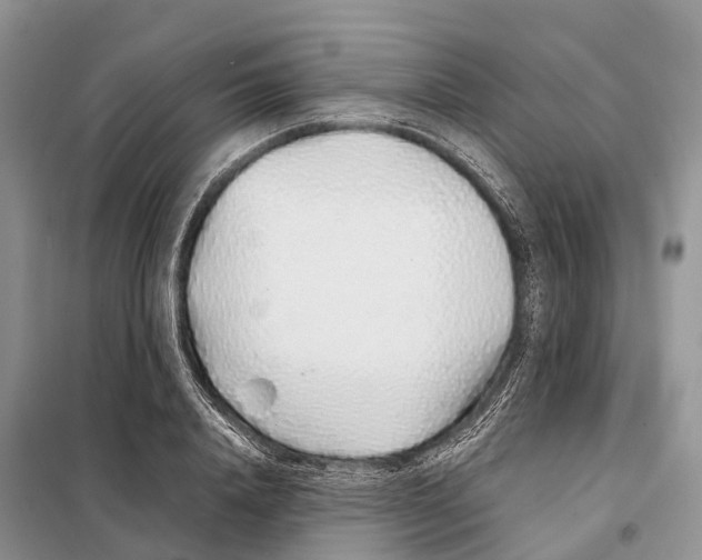 X0000097900840200804111042