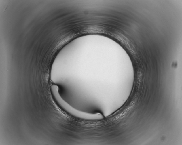 X0000097900841200804111042