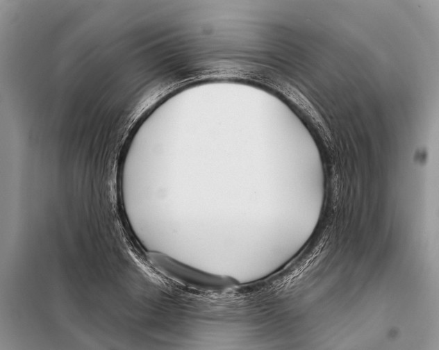 X0000097900842200804111042