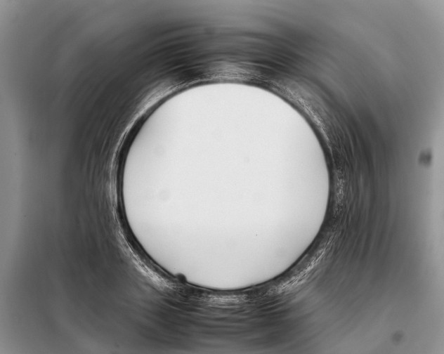 X0000097900843200804111042