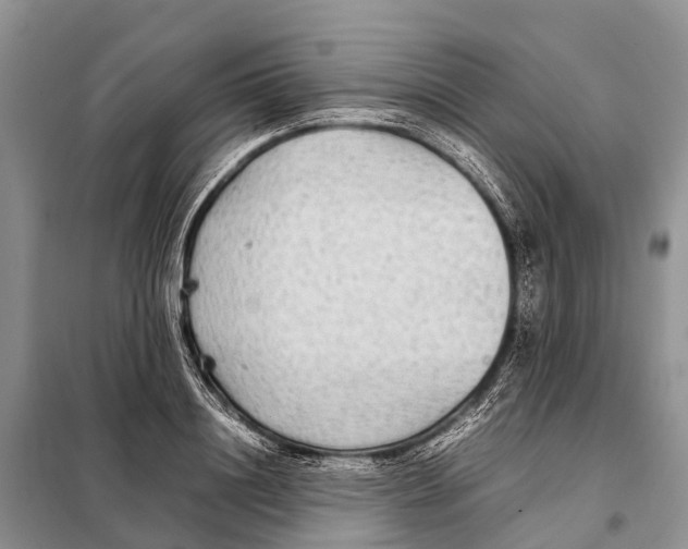 X0000097900844200804111042