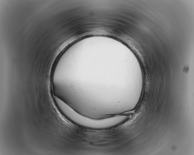 X0000097900845200804111042