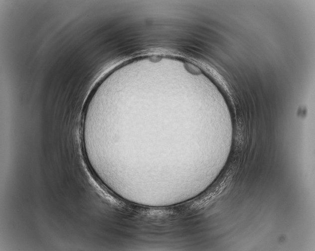 X0000097900847200804111042