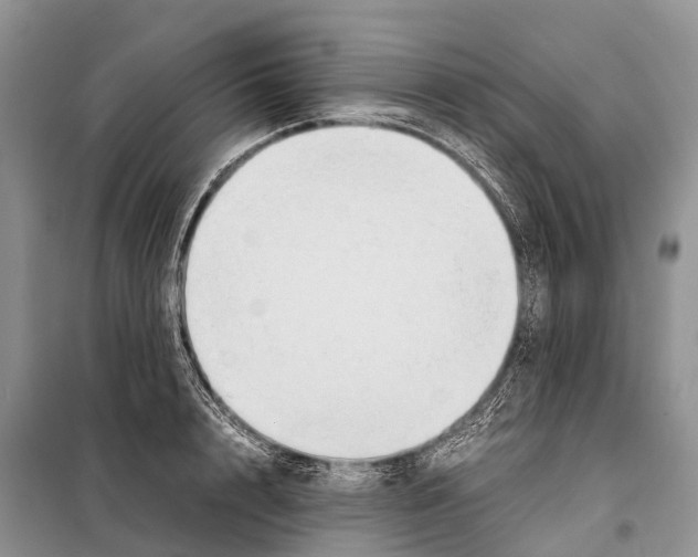 X0000097900848200804111042