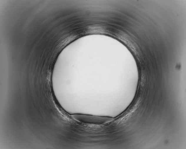 X0000097900849200804111042