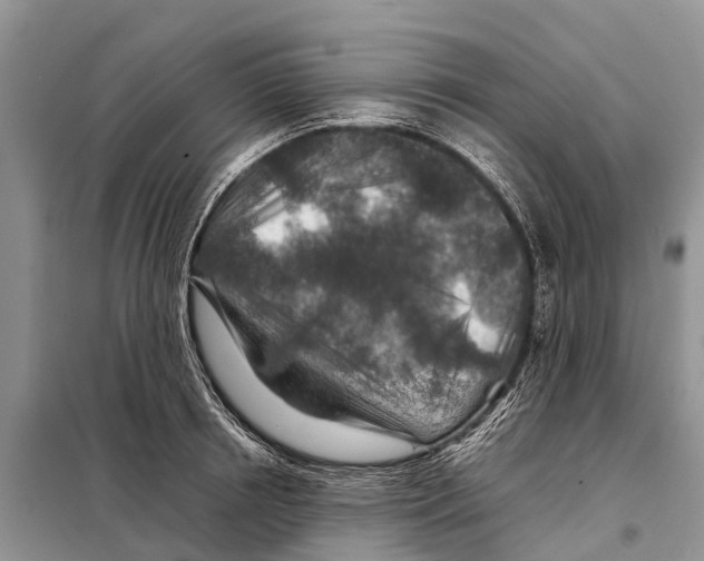 X0000097900850200804111042