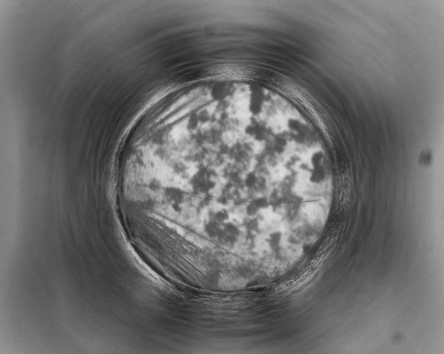 X0000097900851200804111042