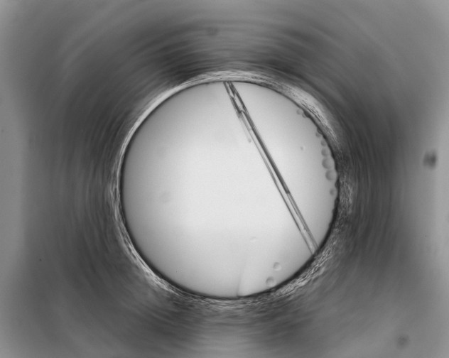 X0000097900852200804111042