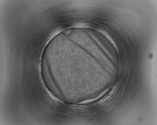 X0000097900853200804111042