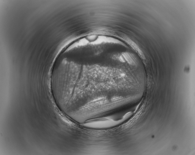 X0000097900854200804111042