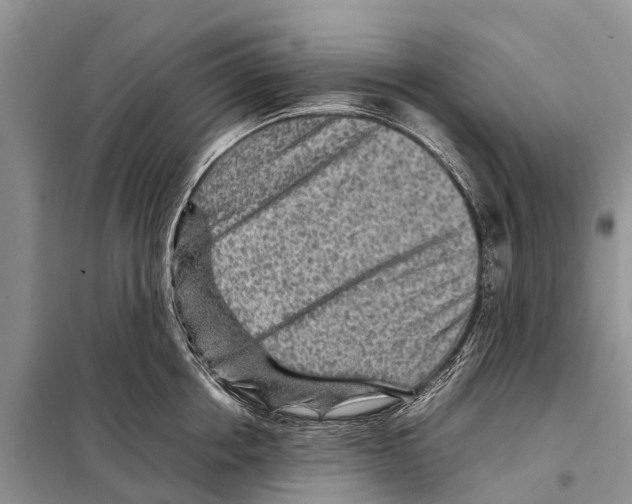 X0000097900858200804111042