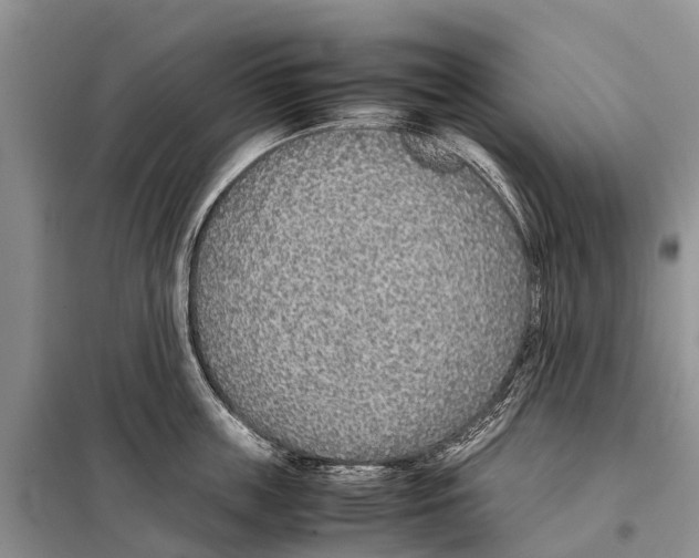 X0000097900859200804111042