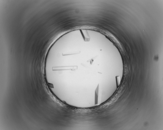 X0000097900860200804111042