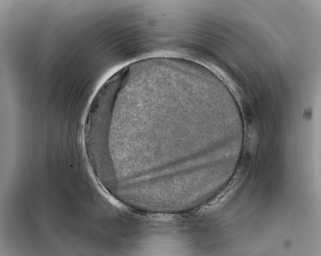 X0000097900862200804111042