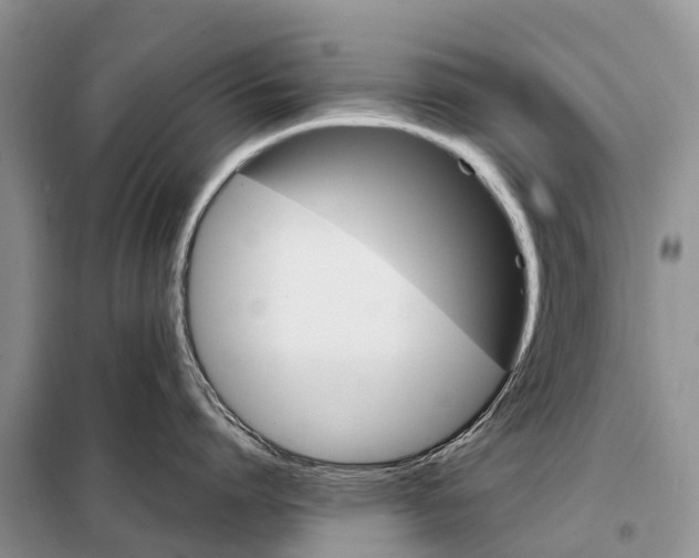 X0000097900864200804111042