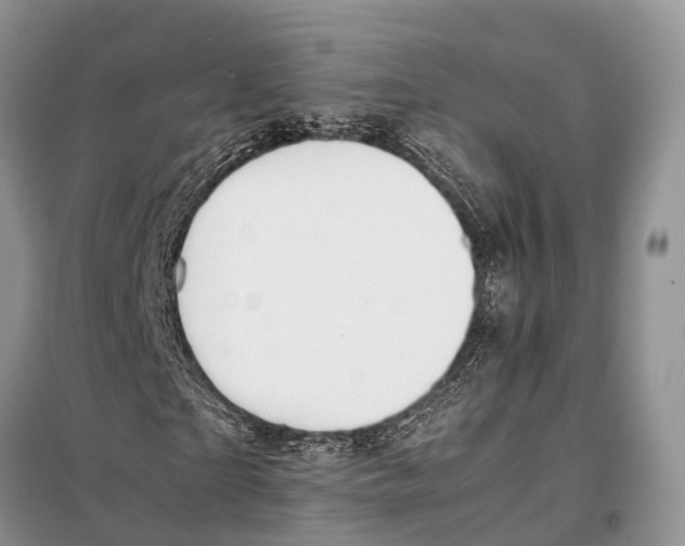 X0000097900865200804111042