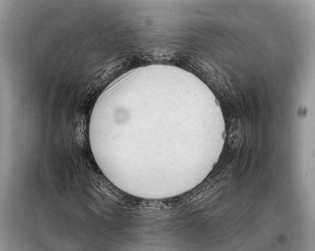 X0000097900866200804111042