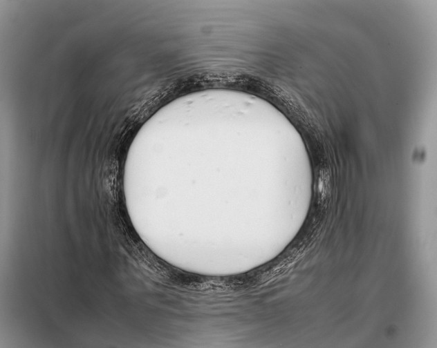 X0000097900867200804111042