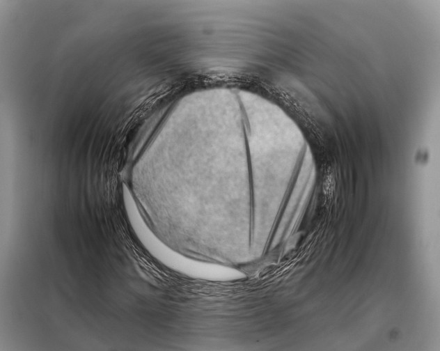 X0000097900868200804111042