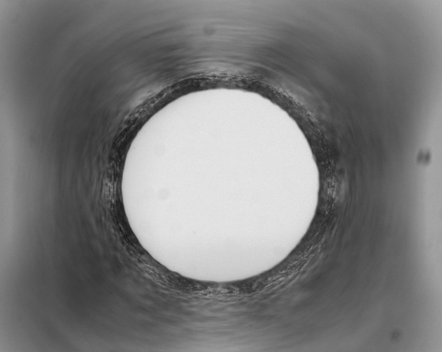 X0000097900869200804111042