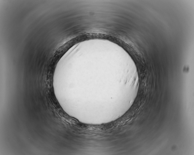 X0000097900870200804111042