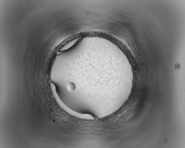 X0000097900871200804111041