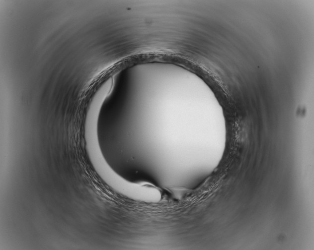 X0000097900872200804111041