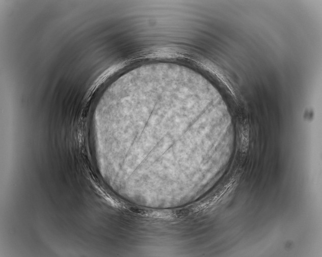 X0000097900874200804111041