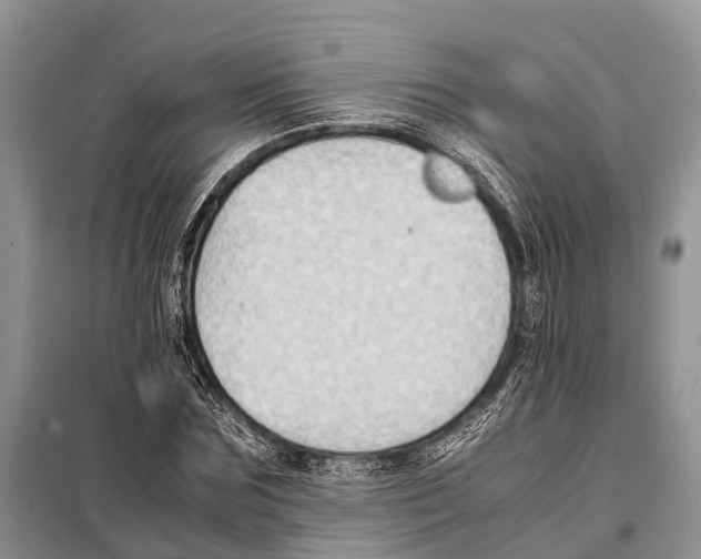 X0000097900875200804111041