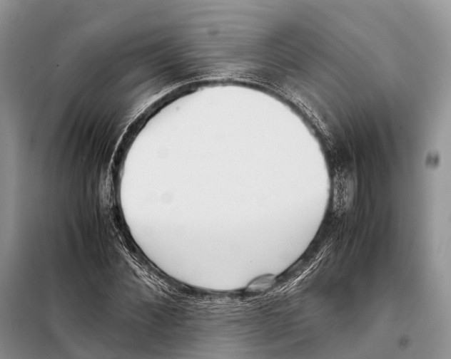 X0000097900876200804111041