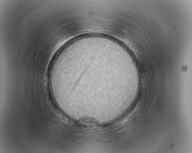 X0000097900879200804111041