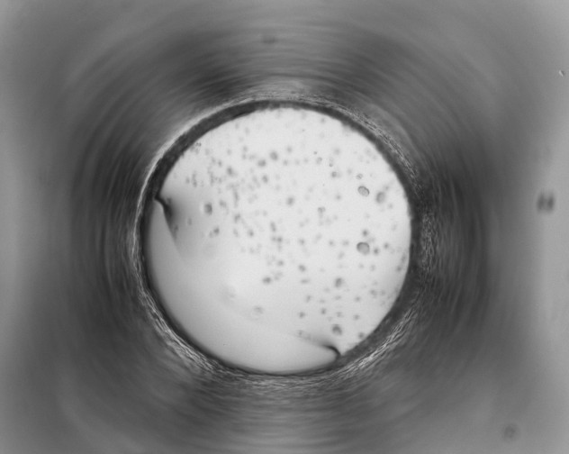 X0000097900880200804111041