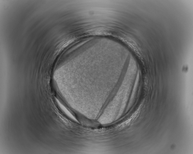 X0000097900881200804111041