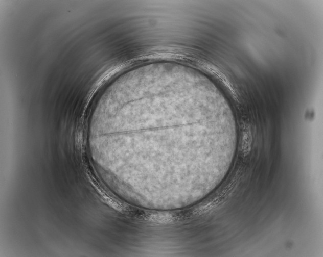 X0000097900882200804111041