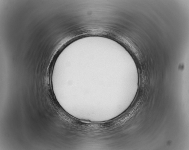 X0000097900883200804111041