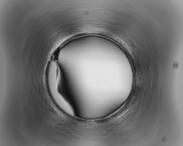 X0000097900885200804111041