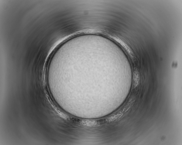 X0000097900886200804111041